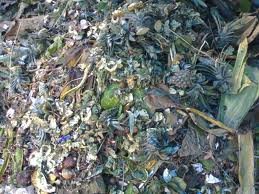 images_099